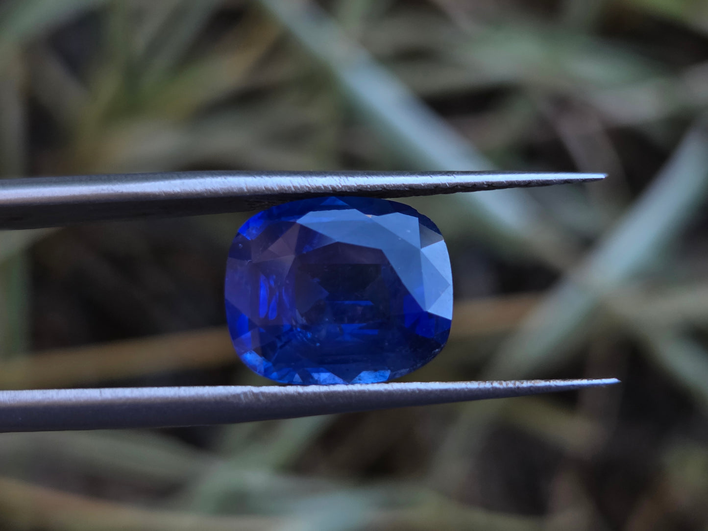 5.7 CT CEYLON CORNFLOWER BLUE SAPPHIRE