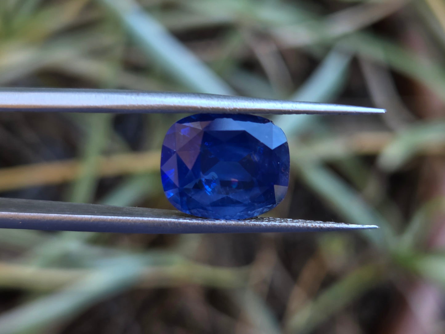 5.7 CT CEYLON CORNFLOWER BLUE SAPPHIRE