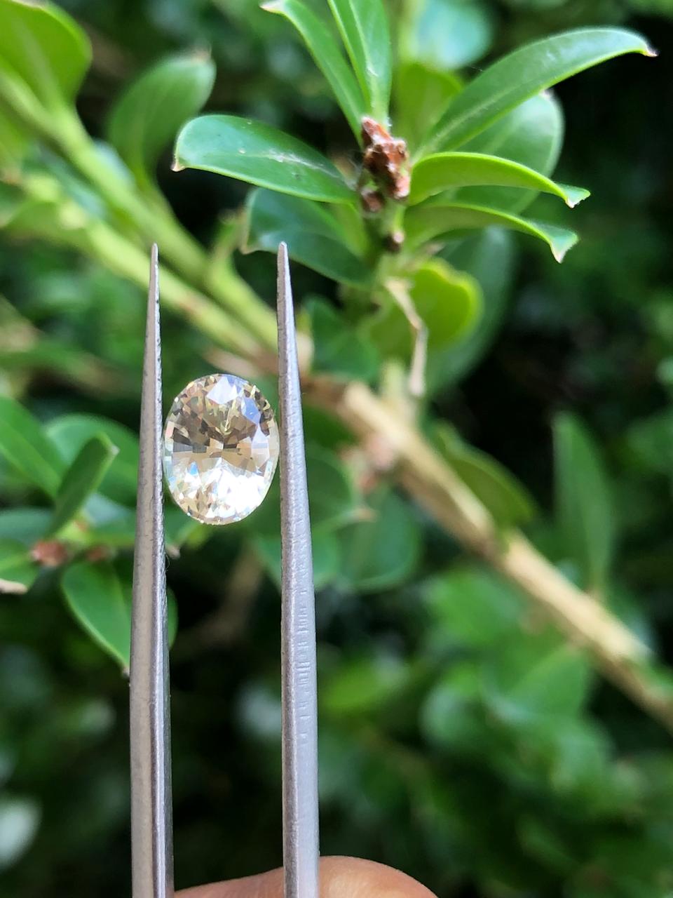 1.395 CT CEYLON YELLOW SAPPHIRE