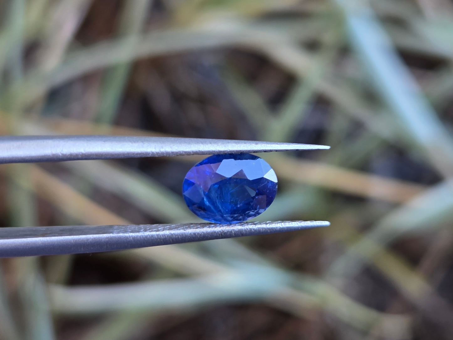 1.7 CT CEYLON CORNFLOWER BLUE SAPPHIRE - Inclution Visible