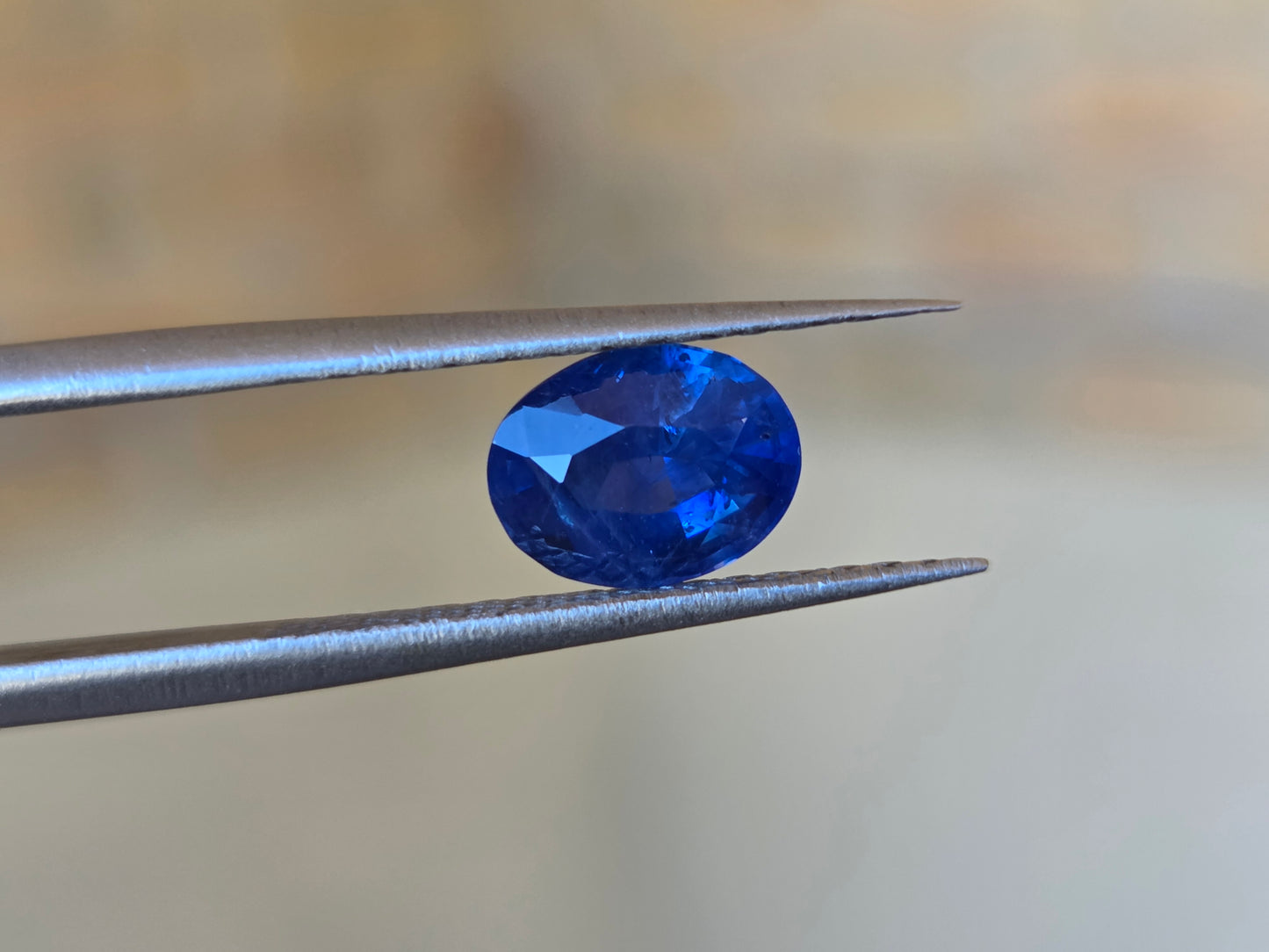 1.7 CT CEYLON CORNFLOWER BLUE SAPPHIRE - Inclution Visible