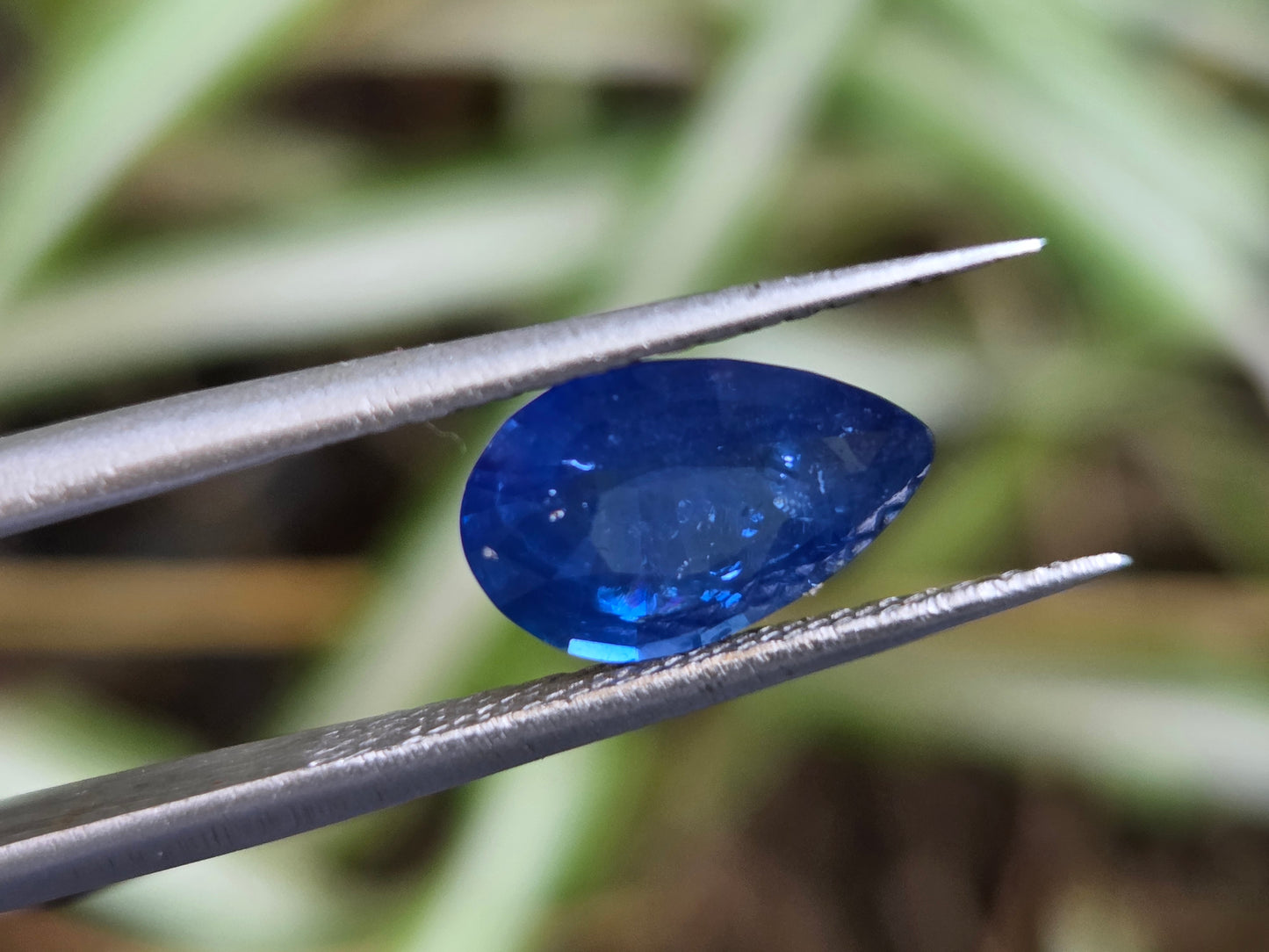 2.55 CT INTENSE CORNFLOWER BLUE SAPPHIRE - Inclution Visible
