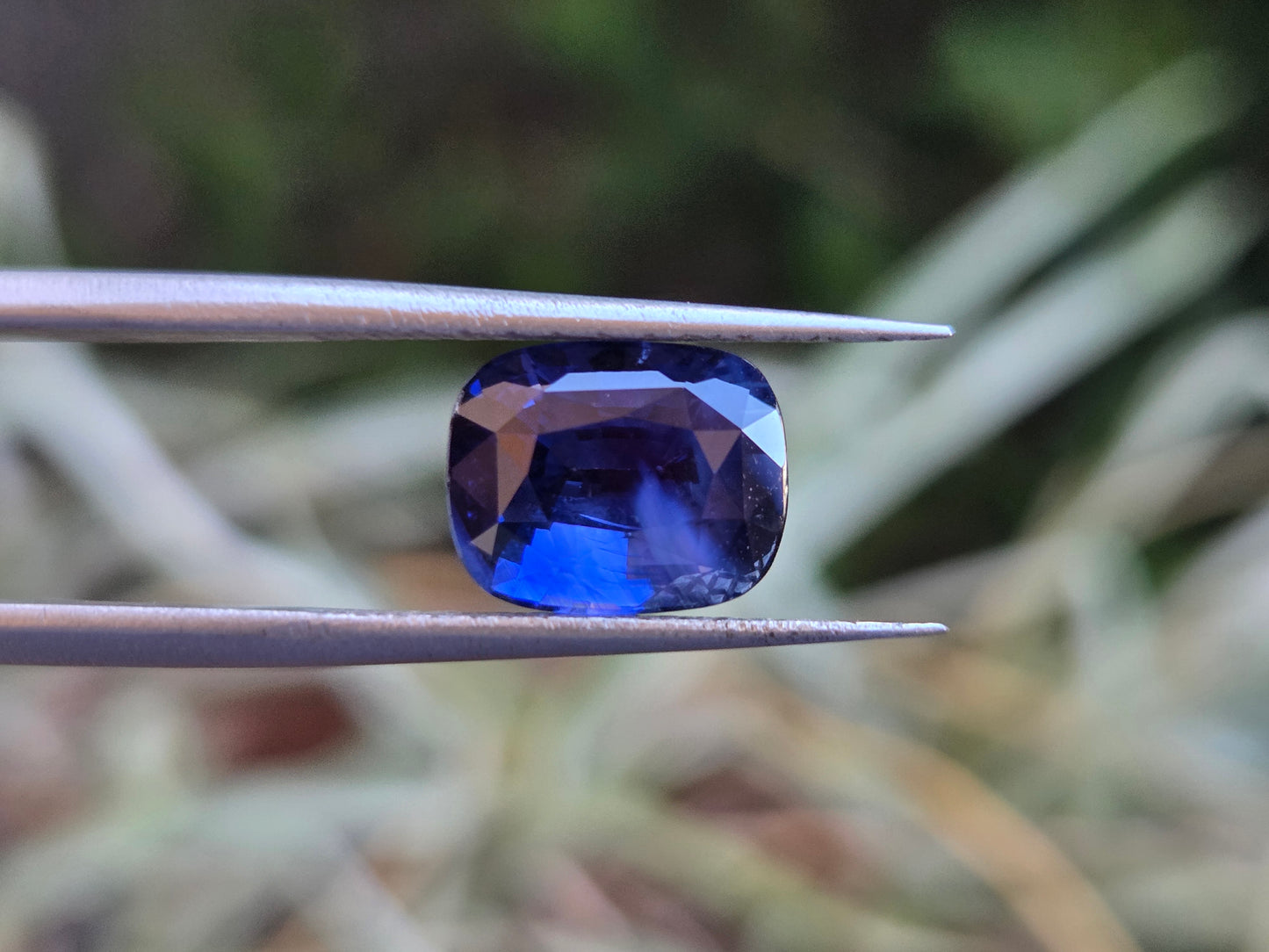 5.4 CT CEYLON CORNFLOWER BLUE SAPPHIRE
