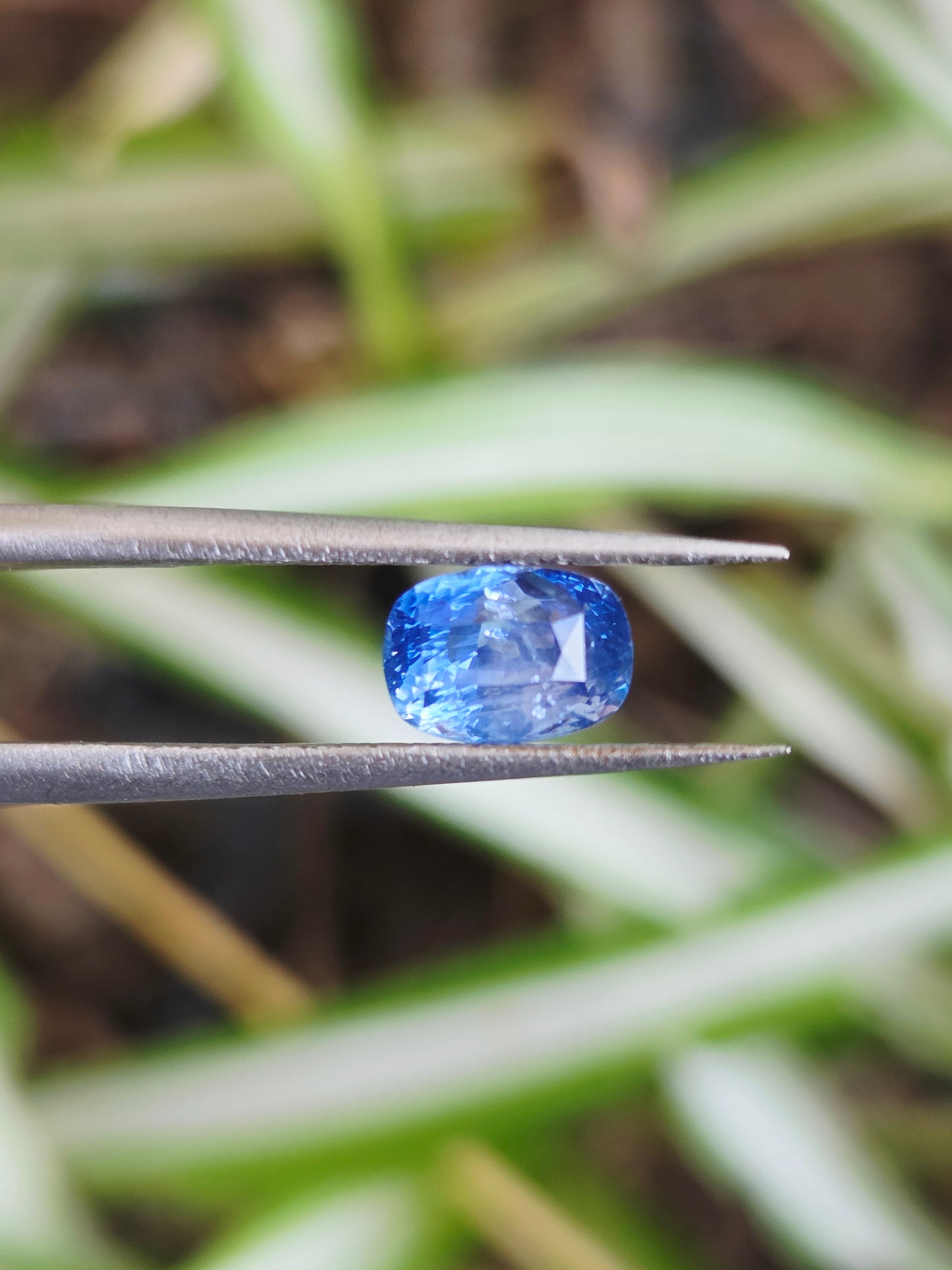 1.6 CT CEYLON LIGHT BLUE SAPPHIRE - Inclution Visible