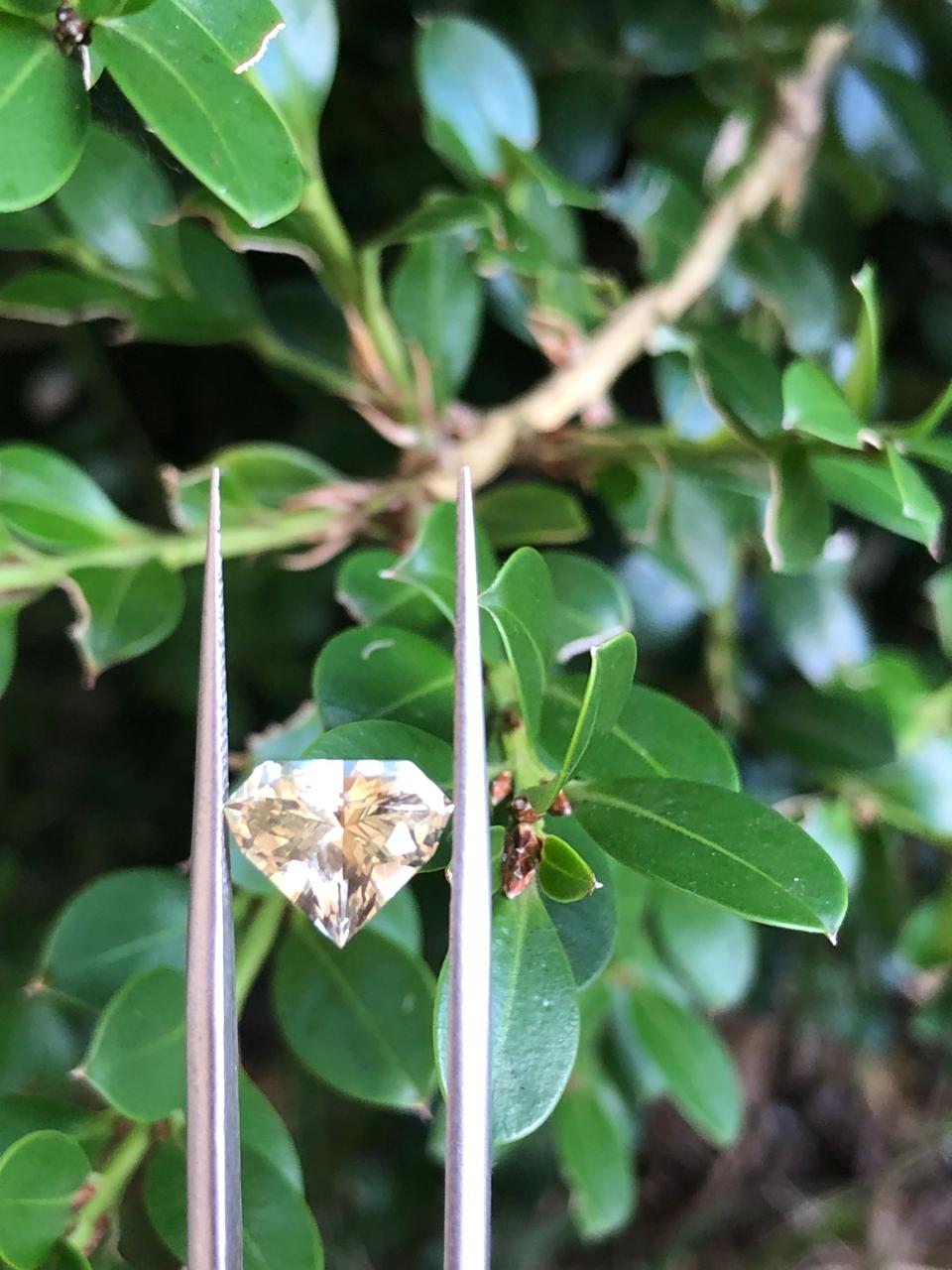 2.545 CT CEYLON YELLOW SAPPHIRE