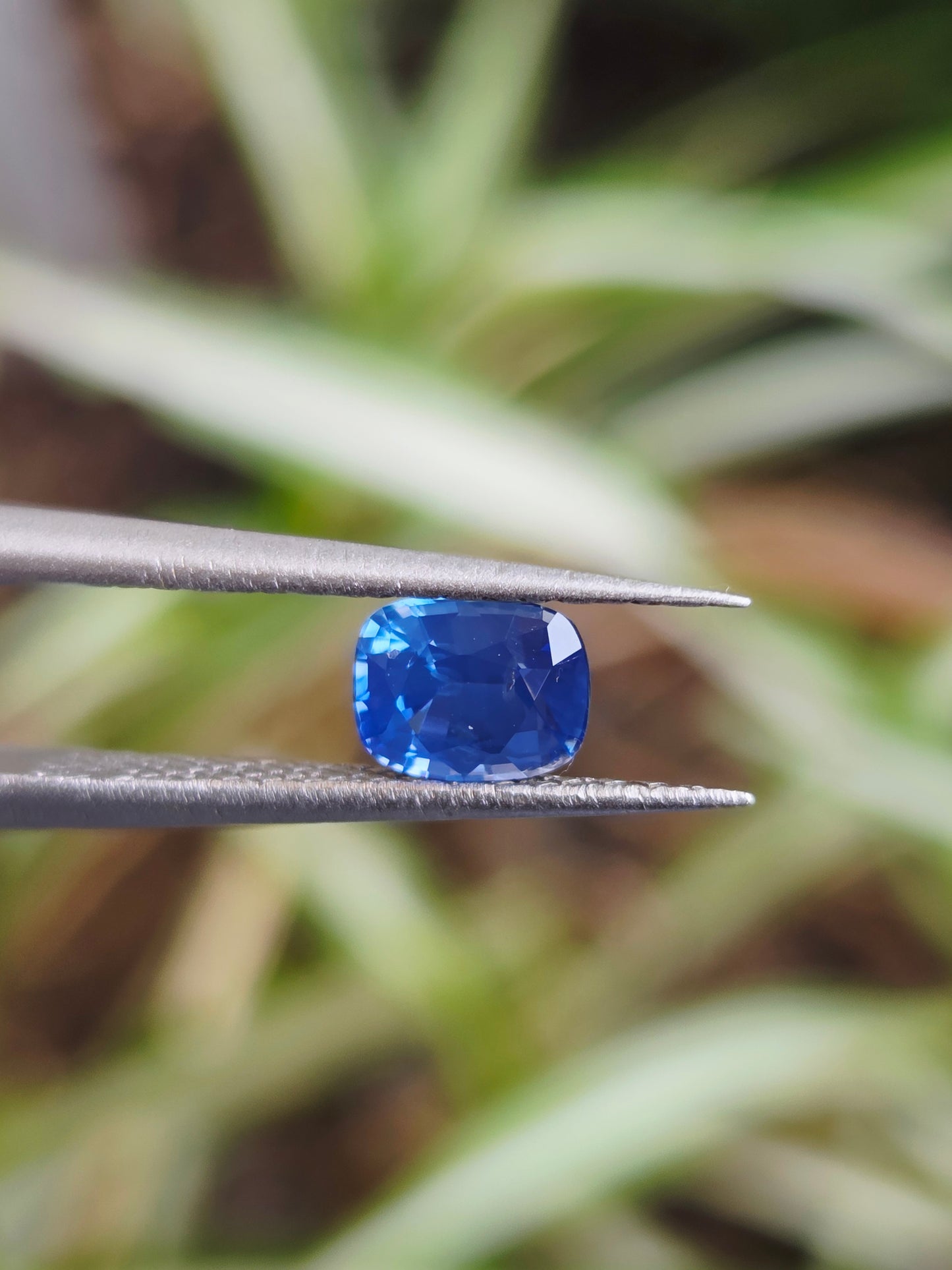 0.885 CT CEYLON CORNFLOWER BLUE SAPPHIRE